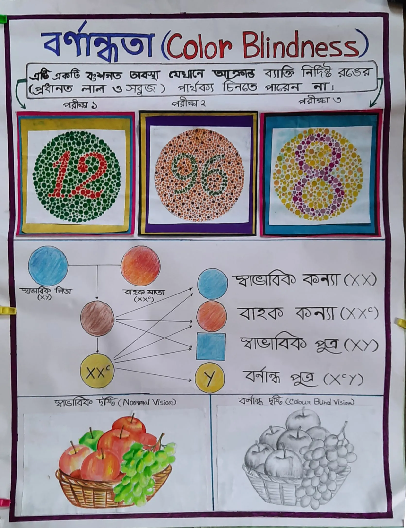 NEET Biology Course by Sanhita Mishra